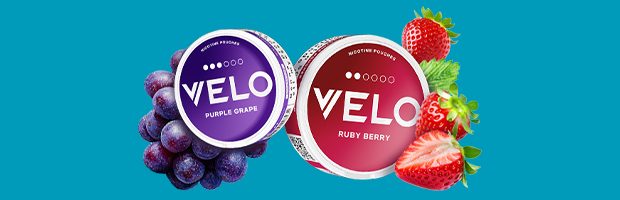 velo tobacco flavors Plus Nicotine Pouches the quicker and more potent the release VELO Nicotine Pouches by Swedish