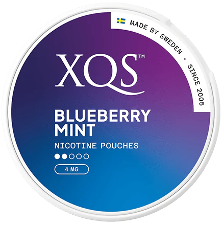 XQS — Blueberry Mint Slim