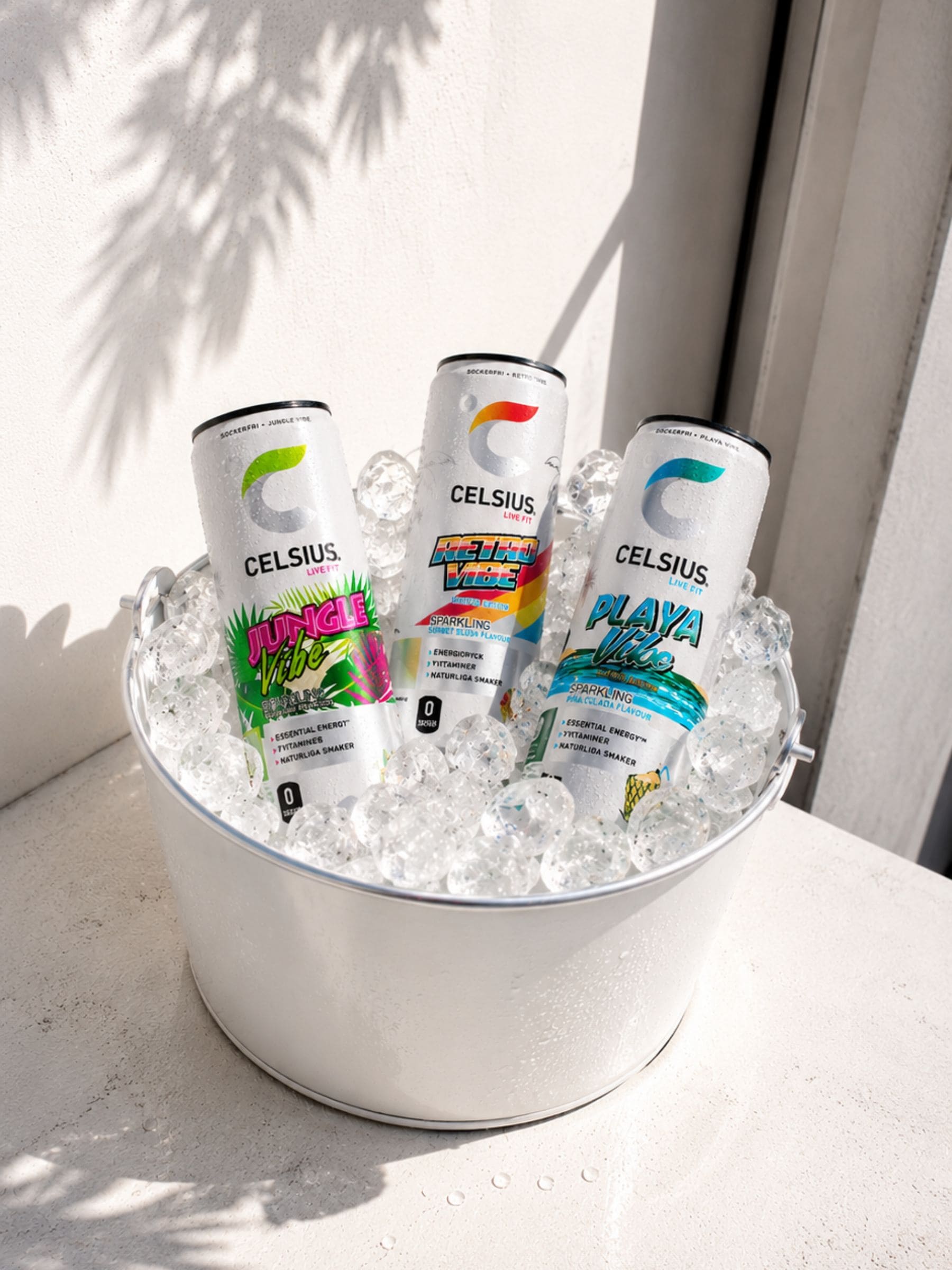Celsius energy drink cans in a bucket of ice with a window and plant shadow in the background