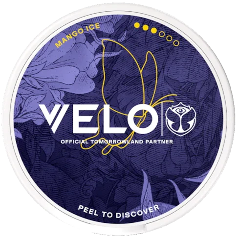 VELO Mango Ice Tomorrowland 2026 Slim Strong