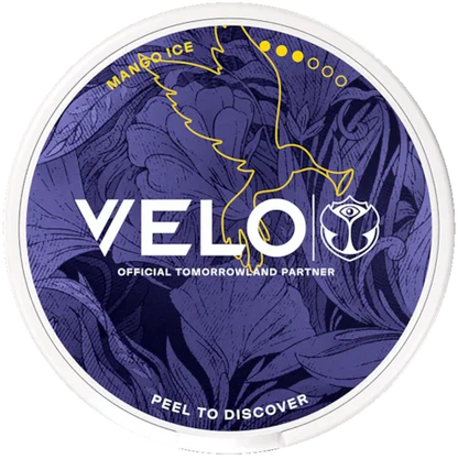 VELO Mango Ice Tomorrowland 2026 Slim Strong