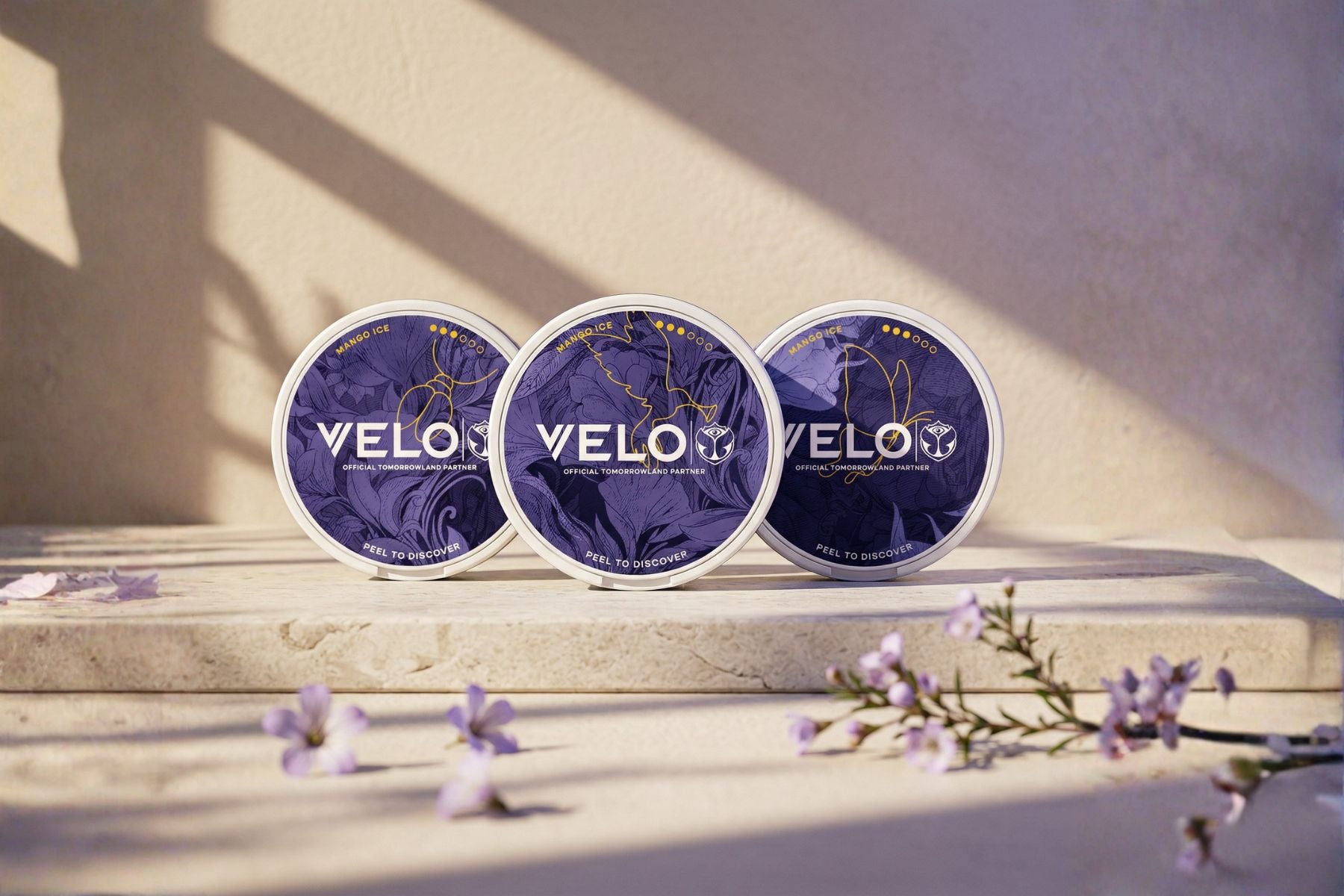 VELO Mango Ice Tomorrowland Edition