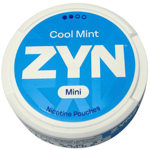 ZYN Cool Mint Mini Dry Normal