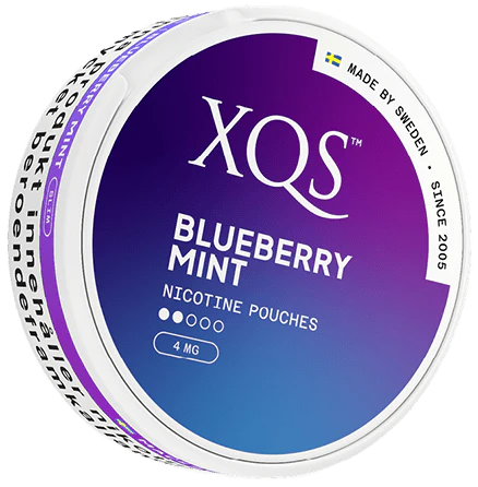 XQS — Blueberry Mint Slim