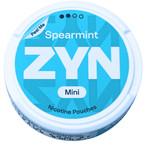 ZYN Spearmint Mini Dry Normal